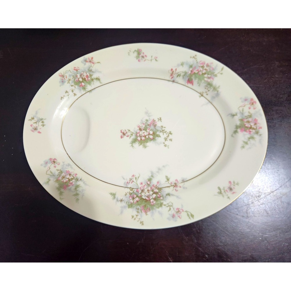 Theodore Haviland Apple Blossom China 14" Meat Serving Platter W/ Juice Well